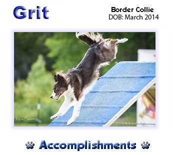 Grit Accomplishments