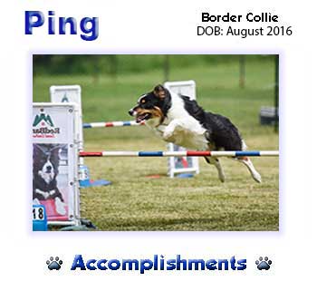 Ping Accomplishments